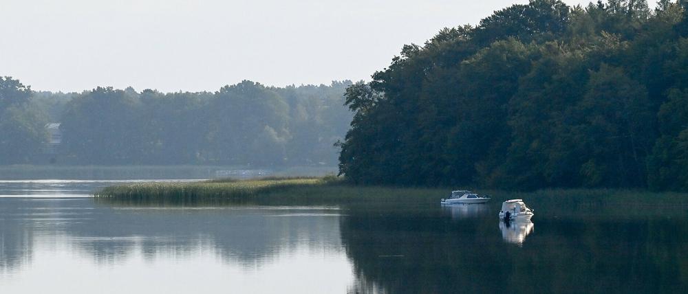 Der Rheinsberger See und viele andere Seen in Brandenburg haben sich mit den Niederschlägen der vergangenen Wochen wieder aufgefüllt.