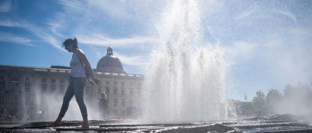 Gute Nachrichten vom Wetter: Laut Deutschem Wetterdienst gehen die Temperaturen diese Woche nach oben.