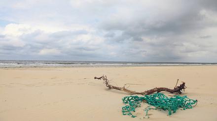 Treibgut. Manchmal werden herrenlose Fischernetze an Land gespült. Eine Million Tonnen belasten Jahr für Jahr die Meere.