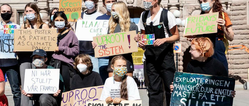 Greta Thunberg bei einer Fridays-for-Future-Demo in Stockholm