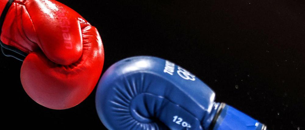 Boxer leiden besonders häufig unter Kopfverletzungen.