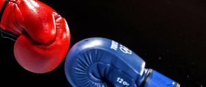 Boxer leiden besonders häufig unter Kopfverletzungen. 