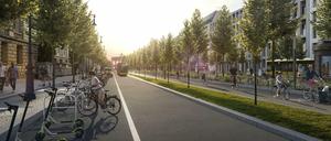 Eine Variante zur Umgestaltung von Unter den Linden sieht zusätzliche Haselnussbaumreihen vor.