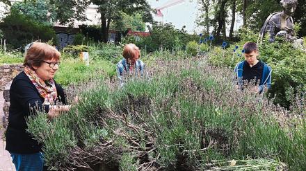 Auch wenn die Natur in diesem Garten die Regie führt – zu tun gibt es für die freiwilligen Gärtnerinnen immer etwas.