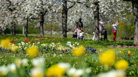 Der Britzer Garten im Süden Neuköllns ist eine der beliebtesten Parkanlagen der Hauptstadt.
