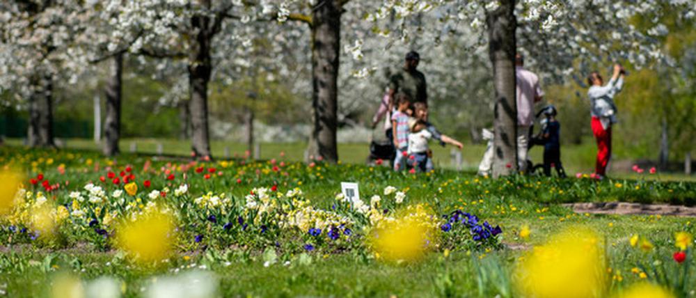 Der Britzer Garten im Süden Neuköllns ist eine der beliebtesten Parkanlagen der Hauptstadt.