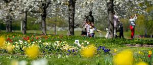 Der Britzer Garten im Süden Neuköllns ist eine der beliebtesten Parkanlagen der Hauptstadt.