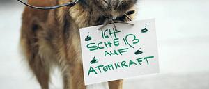 Aber danach bitte das Häufchen entfernen lassen, okay?