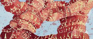 Tony Craggs Zeichnung „Chromosomes“ von 2005.