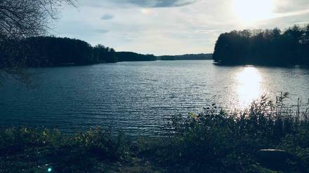 Ihre alte Heimat: der Glienicker See. Links Berlin, rechts Potsdam - in der Mitte schwammen früher Bojen.