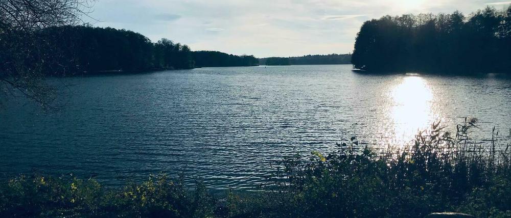 Ihre alte Heimat: der Glienicker See. Links Berlin, rechts Potsdam - in der Mitte schwammen früher Bojen.