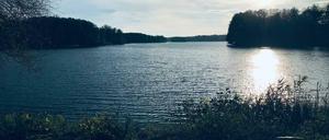 Ihre alte Heimat: der Glienicker See. Links Berlin, rechts Potsdam - in der Mitte schwammen früher Bojen.