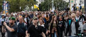 Zahlreiche Menschen bei einer verbotenen Demonstration gegen die Corona-Politik der Bundesrepublik 
