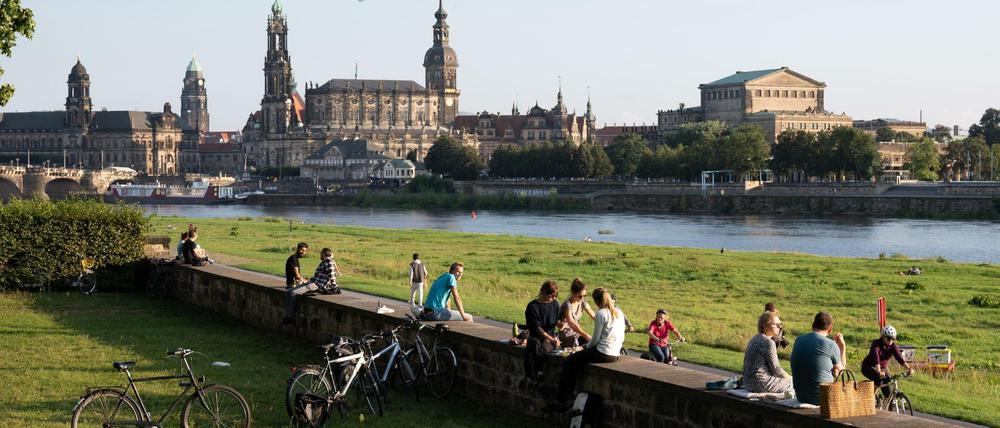 Spätsommer am Dresdener Elbufer.