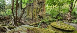 Seit Jahrzehnten überwuchert: Die Wagenhalle des Technikmuseums in Kreuzberg. 