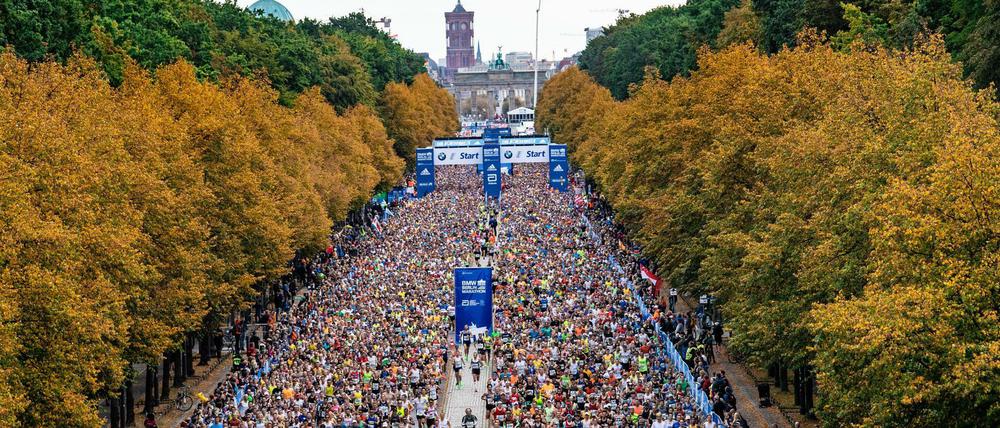 Rund 30 000 Teilnehmer werden am Sonntag am Berlin-Marathon teilnehmen.