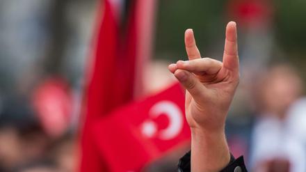 Eine Hand zeigt den "Wolfsgruß" vor türkischen Flagge in München 2016.