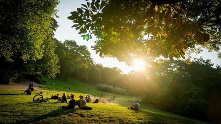 Spätsommer in Berlin: Passanten genießen im Volkspark Wilmersdorf die tiefstehende Abendsonne.