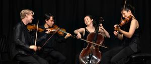 Das junge Londoner Marmen Quartet (v.l.): Johannes Marmen, Ricky Gore, Bryony Gibson-Cornish und Sinéad O'Halloran.