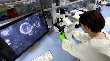 Wissenschaftlerinnen und Wissenschaftler aus Italien arbeiten in aller Welt. Das Image ihres Landes bestimmen sie nicht mit.