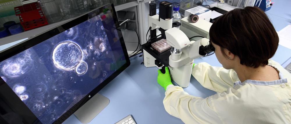 Wissenschaftlerinnen und Wissenschaftler aus Italien arbeiten in aller Welt. Das Image ihres Landes bestimmen sie nicht mit.