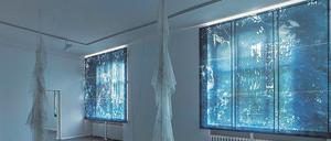 Verfremdeter Blick in Hannah Höchs Garten.