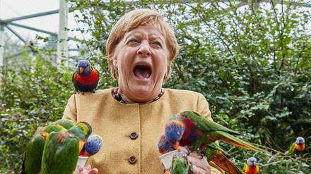 Das beißt sich: Kanzlerin Angela Merkel besuchte lieber einen Vogelpark als den Wahlkampfabschluss der Ost-CDU. 