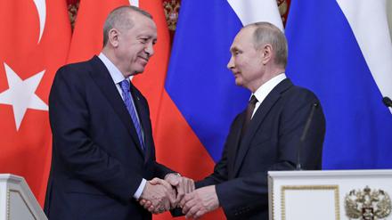 Oft auf einer Linie - der türkische Staatschef Erdogan und sein russischer Amtskollege Putin.