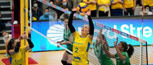 Femke Stoltenborg ist Zuspielerin und in dieser Saison auch Kapitänin.