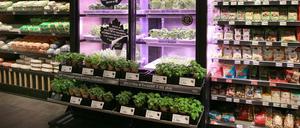 Das Berliner Unternehmen Infarm rüstet unter anderem Supermärkte mit Mini-Gewächshäusern aus. Kräuter gedeihen vor Ort.