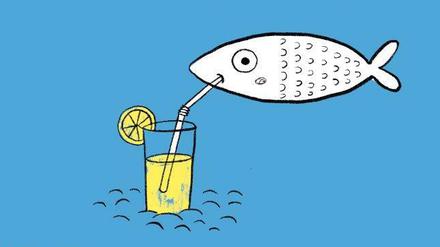 Ausschnitt aus dem Buchcover: Die Illustrationen zum "Unsinn" stammen von Sophie Weiss.