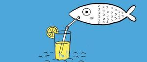 Ausschnitt aus dem Buchcover: Die Illustrationen zum "Unsinn" stammen von Sophie Weiss.