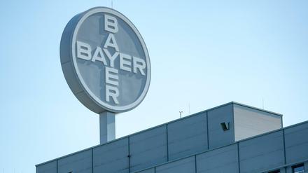 Blick auf das Logo am Werk der Bayer Bitterfeld GmbH.