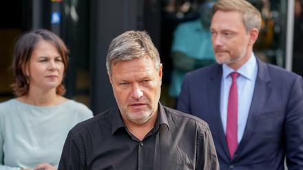Die "Zitrus"-Koalition versucht die Ampel: Die Grünen-Chefs Annalena Baerbock und FDP-Chef Christian Lindner. 