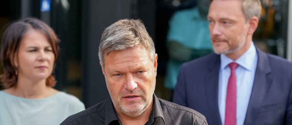 Die "Zitrus"-Koalition versucht die Ampel: Die Grünen-Chefs Annalena Baerbock und FDP-Chef Christian Lindner. 