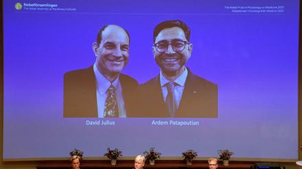 Der Nobelpreis für Medizin geht in diesem Jahr an die US-Forscher David Julius und Ardem Patapoutian.