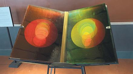 Plattensammlung. Eliassons „A View Becomes a Window“.