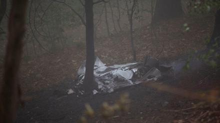 Wrackteile liegen in einem Wald bei Itterbach im Siebengebirge.