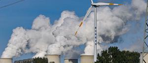 Statt "Klein-Klein" wünschen sich die Ökonomen in der Klimapolitik klare Vorgaben von der Politik. 