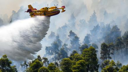 Ein Löschflugzeug kämpft gegen die Flammen auf Euböa.