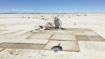 Der Fundort in der Salzwüste in Utah lag vor 12.000 Jahren ein Sumpfgebiet.