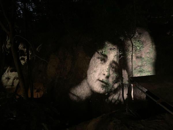 Eine weitere Installation im nächtlichen Park,  mit Projektionen der Opfer-Porträts auf die Überreste der Schlucht.