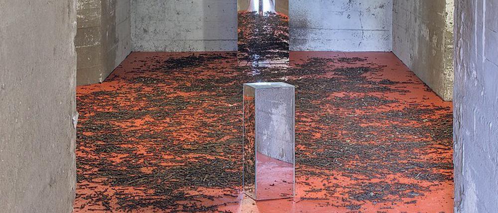 Dunkle Reflexe. Den Bombensplittern, Metallüberresten und Nägeln auf dem Boden stehen Spiegel gegenüber.
