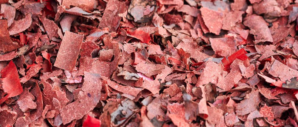 Herbstlaub mitten im Winter. Papiermüll von abgebranntem Feuerwerk.