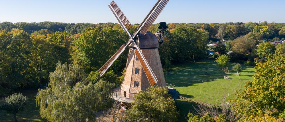 Die Britzer Mühle nach der Sanierung, mit neuer Kappe, Flügeln und neuen Kacheln. 
