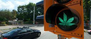 In keiner Regierung war die Legalisierung von Cannabis je so wahrscheinlich wie in einer Ampel.