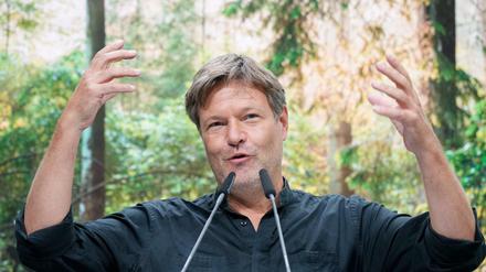 Wird er Deutschlands erster Klimaminister? Robert Habeck, Bundesvorsitzender von Bündnis 90/Die Grünen. 