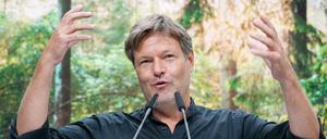 Wird er Deutschlands erster Klimaminister? Robert Habeck, Bundesvorsitzender von Bündnis 90/Die Grünen. 