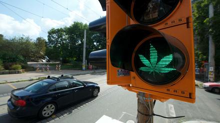 Grünes Licht von der Ampel-Koalition für Cannabis? 