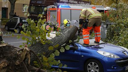 In der Eichbuschallee in Treptow / Köpenick ist ein Baum durch Sturmtief Ignatz auf ein geparktes Auto gefallen. Die Berliner Feuerwehr beseitigt den Baum. Berlin, 21.10.2021 *** In the Eichbuschallee in Treptow Köpenick, a tree has fallen on a parked car due to storm Ignatz The Berlin Fire Department removes the tree Berlin, 21 10 2021 Foto:xT.xBartillax/xFuturexImage
